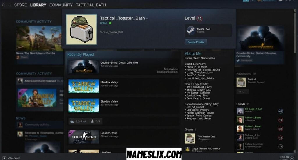 Funny Steam Names
